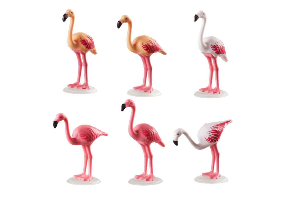 Flock of Flamingos – box_back