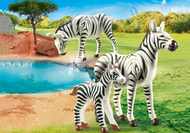 Zebras with Foal